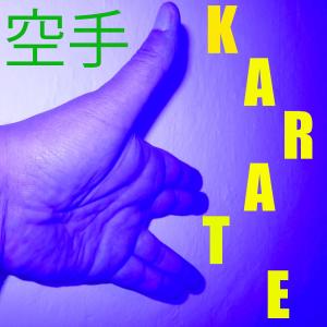 ดาวน์โหลดและฟังเพลง Musica per il Karate Vol. 11 พร้อมเนื้อเพลงจาก Kendo