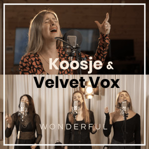 Dengarkan Wonderful lagu dari Koosje dengan lirik