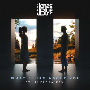Listen to What I Like About You song with lyrics from Jonas Blue
