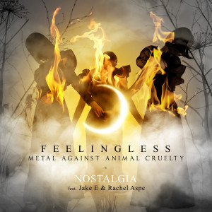 Album Nostalgia from Feelingless