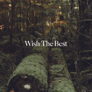 Dengarkan Wish the Best lagu dari James Stuart Ferguson dengan lirik