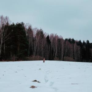 Kude的專輯nopensarte+