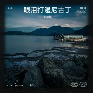 Album 眼泪打湿尼古丁 from 刘德斌