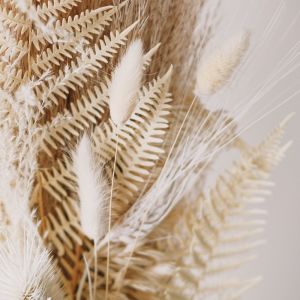 收听Nature Sounds Nature Music的Nightshift歌词歌曲