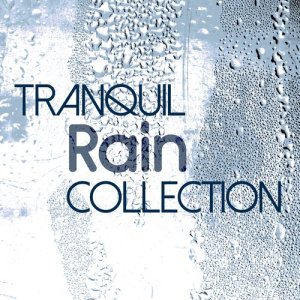收聽Rain Sounds Nature Collection的Rain from the Bridge歌詞歌曲