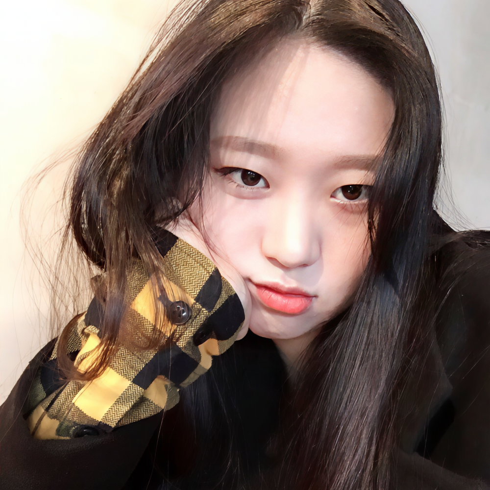 레디