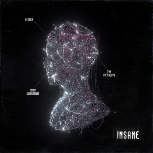 Listen to Insane song with lyrics from The FifthGuys