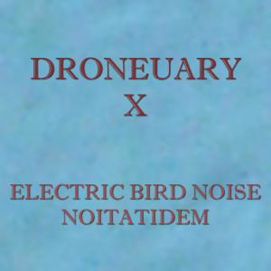Album Droneuary X - Noitatidem from Electric Bird Noise