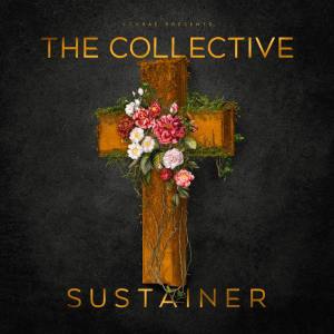 อัลบัม Sustainer ศิลปิน The Collective