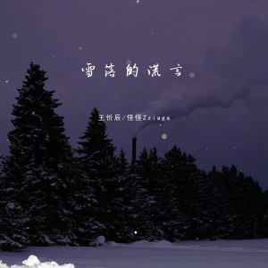 Album 雪落的谎言 from 王忻辰
