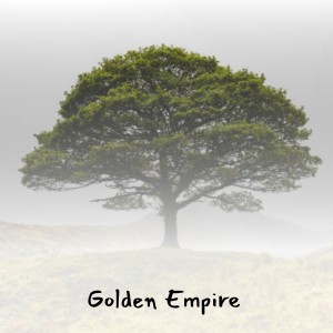 收听Tina Turner的Golden Empire歌词歌曲