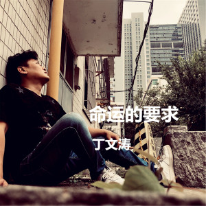 收聽丁文濤的命運的要求 (完整版)歌詞歌曲
