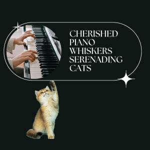 ดาวน์โหลดและฟังเพลง Harmony in Feline Serenades: Cherished Piano Melodies พร้อมเนื้อเพลงจาก Relaxing Piano Music Masters