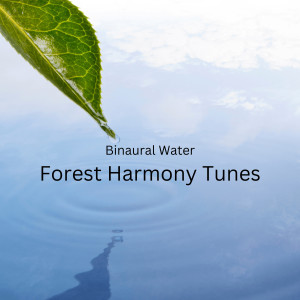 Binaural Beats Spa的專輯Binaural Water: Forest Harmony Tunes