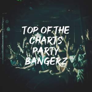 It's a Cover Up的專輯Top of the Charts Party Bangerz (Explicit)