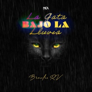 Listen to La Gata Bajo La Lluvia song with lyrics from Braulio RV