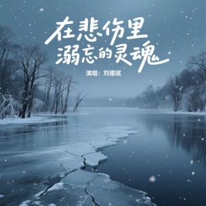 刘德斌的专辑在悲伤里溺忘的灵魂（DJ版）