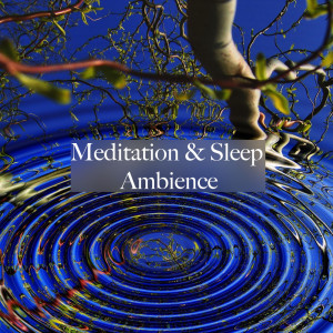 Ocean Waves for Sleep的专辑Meditation & Sleep Ambience