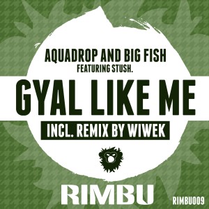 收聽Aquadrop的Gyal Like Me (Wiwek Remix)歌詞歌曲