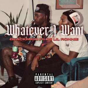 G$ Lil Ronnie的專輯Whatever I Want (feat. G$ Lil Ronnie) (Explicit)