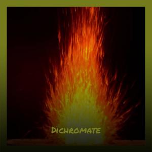 Listen to Dichromate song with lyrics from Nors Deide
