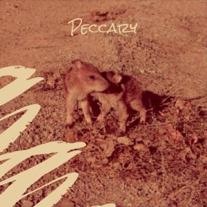Various的专辑Peccary