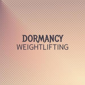 Listen to Dormancy Weightlifting song with lyrics from Nors Heidr