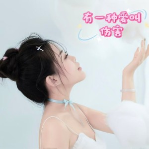 Album 有一种爱叫伤害 from 小粉