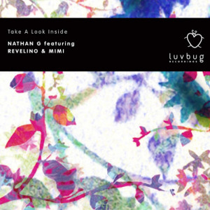 ดาวน์โหลดและฟังเพลง Take a Look Inside (Nathan G Luvbug Deeper Vocal) พร้อมเนื้อเพลงจาก Nathan G