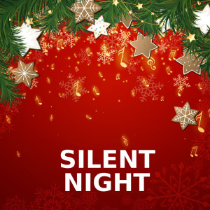 Dengarkan Silent Night (Guitar Version) lagu dari Silent Night dengan lirik