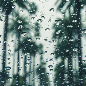 Dengarkan Melody in the Rain lagu dari Nature Sounds Nature Music dengan lirik