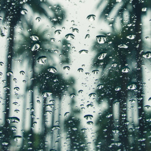 Dengarkan The Rainfall Song lagu dari Nature Sounds Nature Music dengan lirik