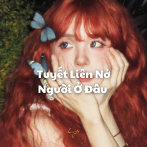 收聽Ngân Ngân的Tuyết Liên Nở Người Ở Đâu (Lofi) - Beat歌詞歌曲