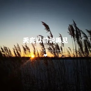 Listen to 天亮以前说再见 song with lyrics from 竹子