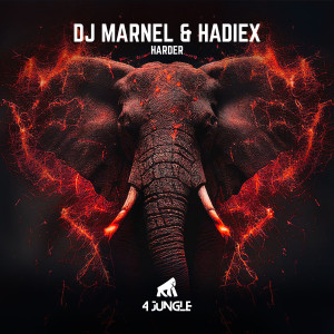 Album Harder oleh DJ Marnel