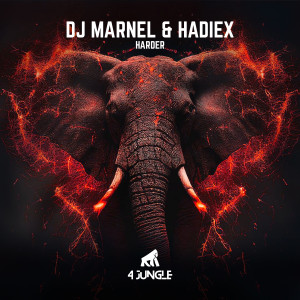 อัลบัม Harder ศิลปิน DJ Marnel