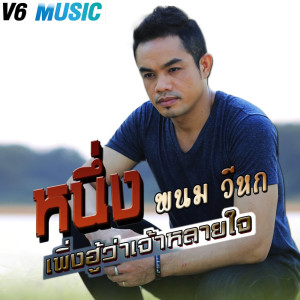ดาวน์โหลดและฟังเพลง เพิ่งฮู้ว่าเจ้าหลายใจ พร้อมเนื้อเพลงจาก หนึ่ง พนม วีหก