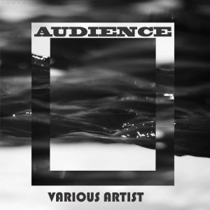 Album AUDIENCE (Explicit) from Shatta Wale
