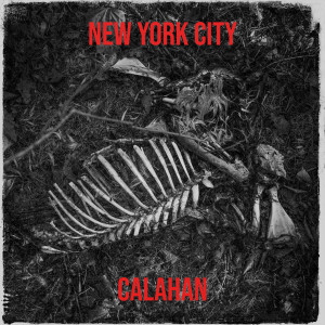 Album New York City from 