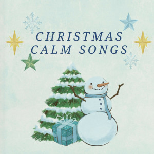 Best Christmas Songs的專輯Christmas Calm Songs