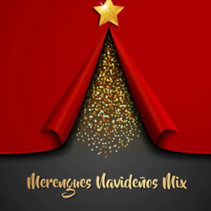 อัลบัม Merengues Navideños Mix ศิลปิน Dj Christmas