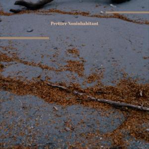 Various的专辑Prettier Noninhabitant