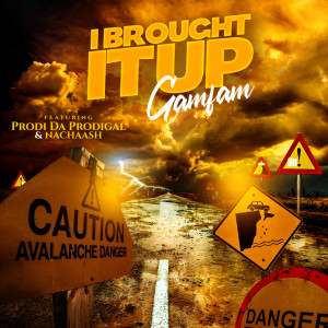 Album I Brought It Up from Gamfam