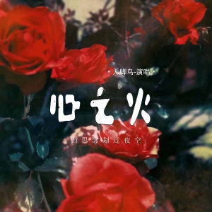 Album 心之火 (当思念划过夜空) from 