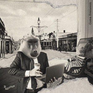 Coma Svensson的專輯Baboons