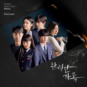 อัลบัม 완벽한 가족 OST Special ศิลปิน Korean Various Artists