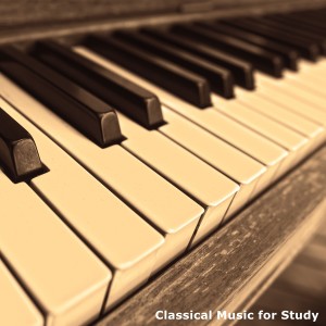Listen to 집중력 향상(Concentration) song with lyrics from in Library