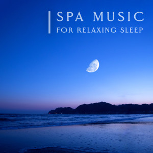 Album 心灵SPA音乐 睡眠钢琴ASMR 放松纯音乐 oleh 纪钧瀚 (Bryan Chi)