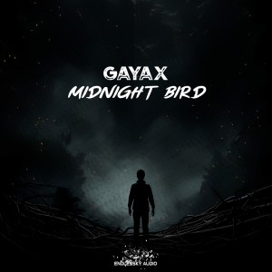 Gayax的專輯Midnight Bird