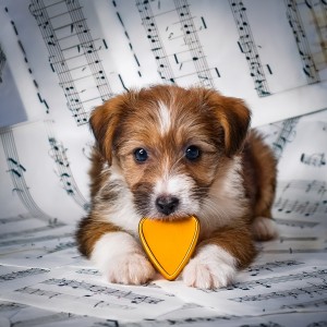 default playlist img